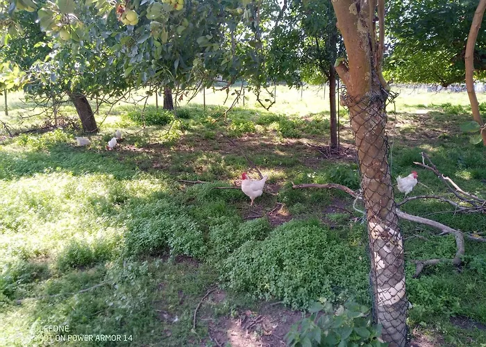 דירה Zur Windmuehle